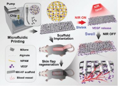 微流控3D打印機在醫(yī)療行業(yè)的應(yīng)用